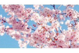 З Днем солідарності трудящих!