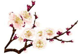 Акція від Сат-Майстер