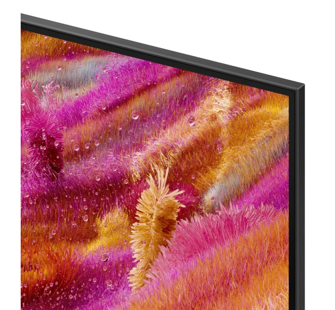 LED-телевізор Samsung QE55QN90FAUXUA  (7101133)