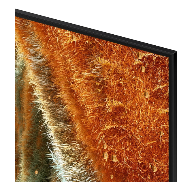 LED-телевізор Samsung QE65QN70FAUXUA (7101143)